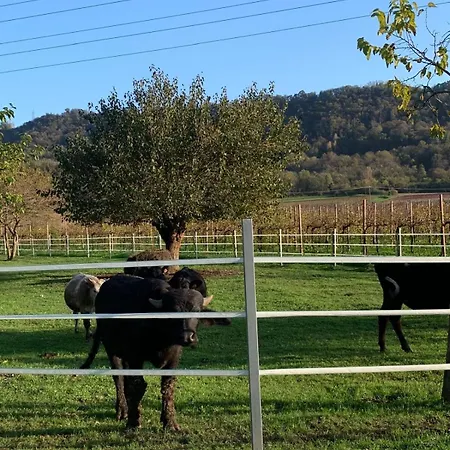 Casa Murarco דירה Mura (Treviso)