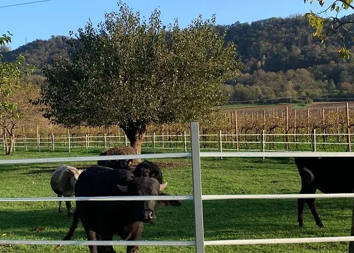 Casa Murarco Appartement Mura (Treviso)